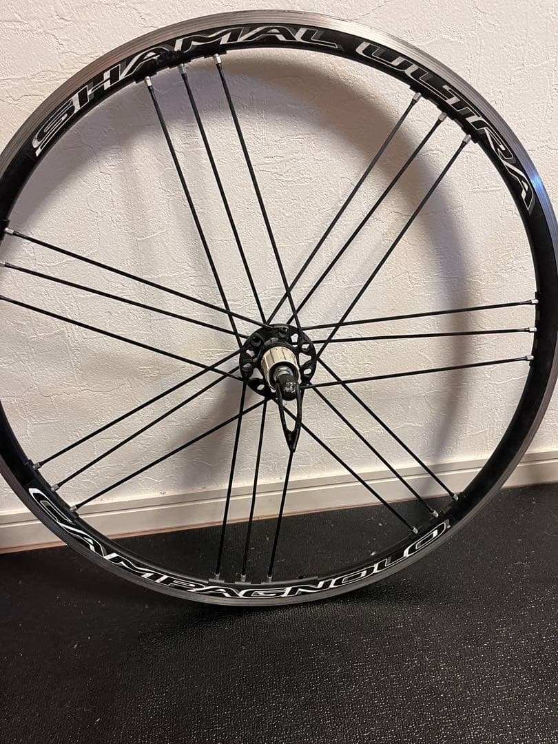 ワカちゃん　Campagnplo シャマルウルトラ